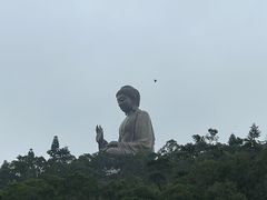 -昂坪360缆车