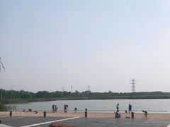 -东营·森林乐园