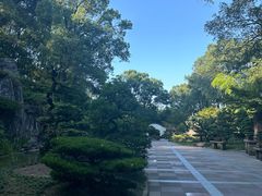 -南山植物园