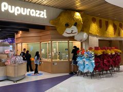 -帕帕拉兹宠物(亚洲旗舰店)