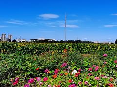 -瀛海足球主题公园