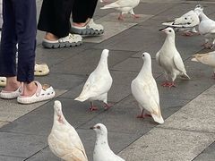 -江燕路万科里