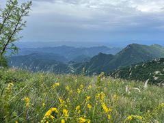 -白草畔自然风景区