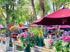 -园林美食城·本土农家菜(杨和镇店)