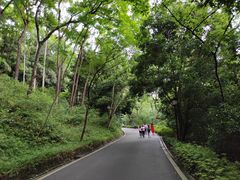 -三门江国家森林公园