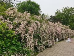 -老君堂公园
