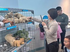 -呼和浩特市老牛儿童探索馆