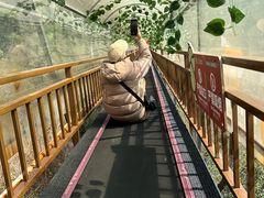 -牛鱼嘴原始生态风景区
