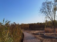 -永定河休闲森林公园