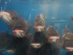 -阿娘家·原生态农家菜(国顺东路店)