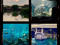 -长鹿旅游休博园
