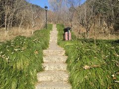 -杭州半山国家森林公园