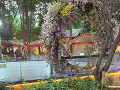 -二荆条·蜀鲜汇城市森林火锅