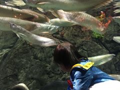 -成都浩海立方海洋公园