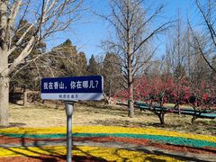 -香山公园