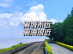 -上海滨江森林公园