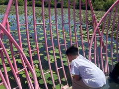 -大青沟风景区