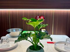 -懂羊帝·羊蝎子·北京菜(小关店)