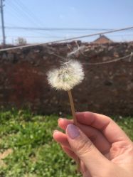 -纤纤玉手美甲美睫美容