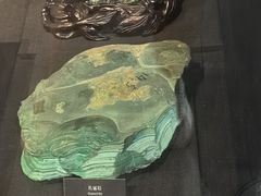 -烟台自然博物馆