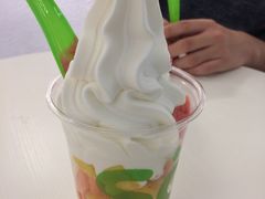 -Salud撒露欧洲冻酸奶(798艺术区店)