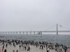 -星海广场