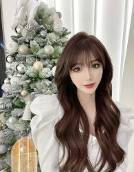 -Y-STUDIO原理