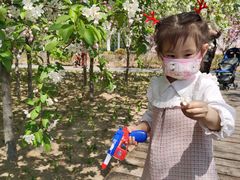 -大兴滨河森林公园