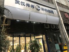 -伟伟宠物医院·CT影像中心·瑞派犬猫综合性门诊(汉口总院)