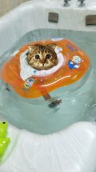 -子木乐园婴儿游泳馆(水晶港店)