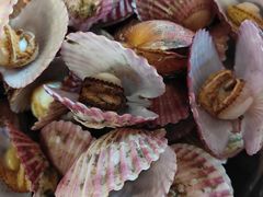 -正华水岸新城小区