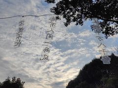 -老山国家森林公园