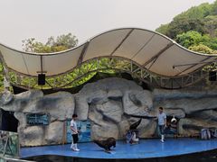 -泉州海丝野生动物世界