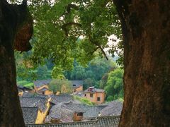 -杨家堂村