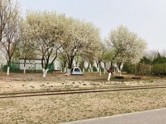 -永定河休闲森林公园