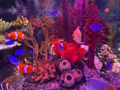 -沈阳海洋探索中心