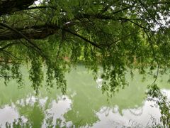 -贵阳市花溪国家城市湿地公园