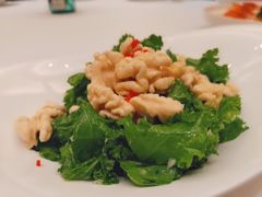 -鲁班张葱烧海参(马庄街店)