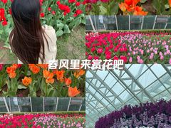 -石家庄市植物园