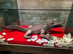 -乐山乌木文化博览苑