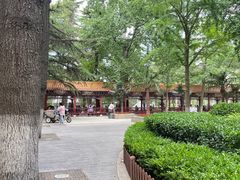 -中国人民解放军总医院