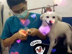 -仁华宠物医院(青羊店)