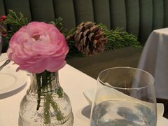 -蝶舍·MAISON PAPILLON