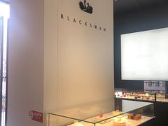 -BLACKSWAN黑天鹅(环球店)