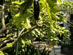 -华大咖啡(华大时空中心店)