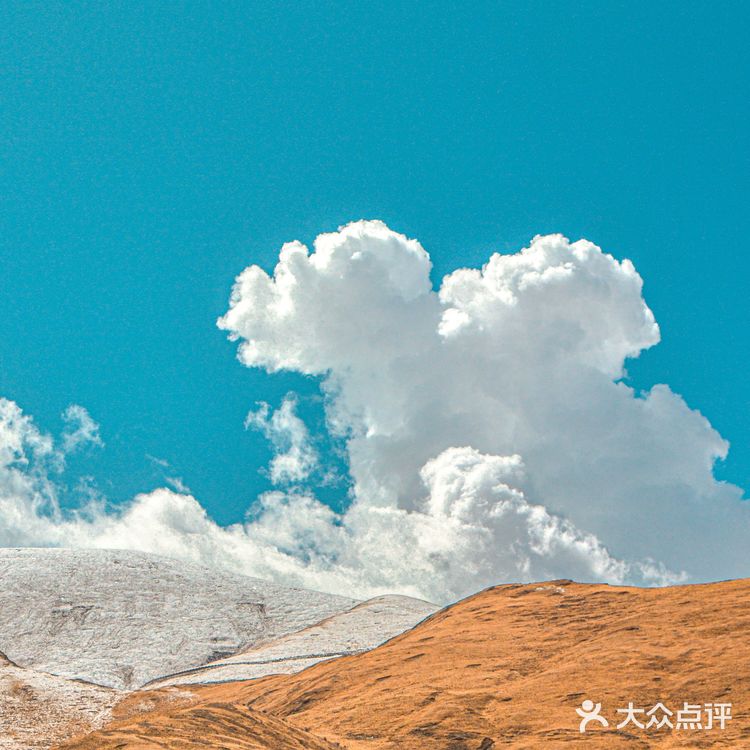 西藏小众私藏|羊湖边的藏獒拍照点