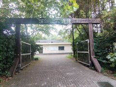 -上海滨江森林公园