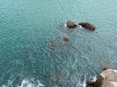 -枸杞岛