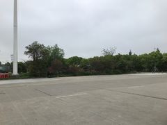 -平望服务区·停车场