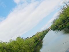 -日照海滨国家森林公园